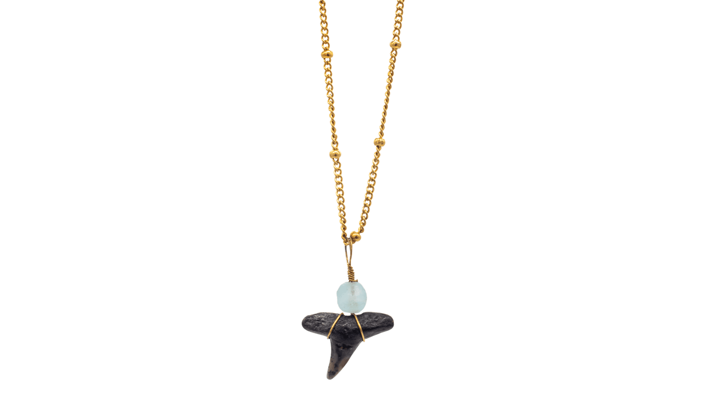 Shark Tooth w/SG Necklace - 14K Gold