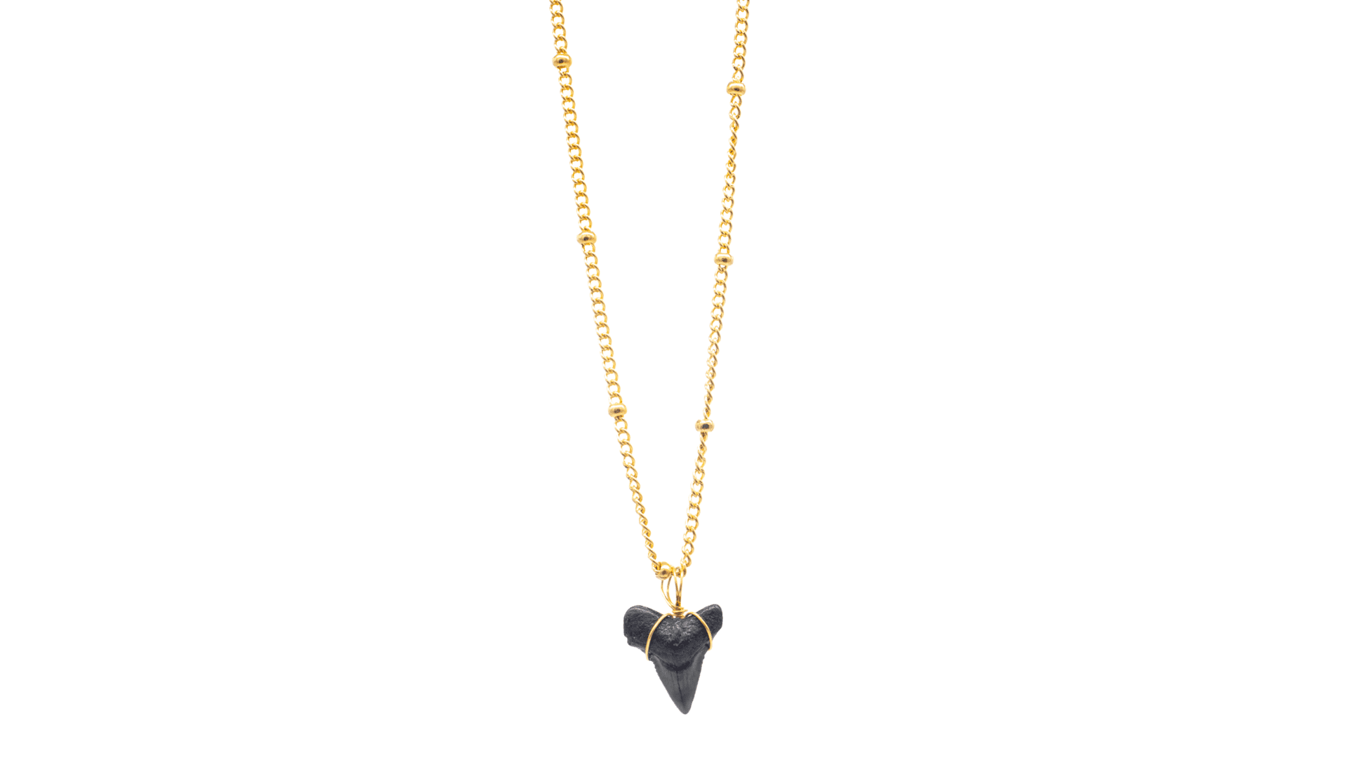 Shark Tooth Necklace - 14K Gold