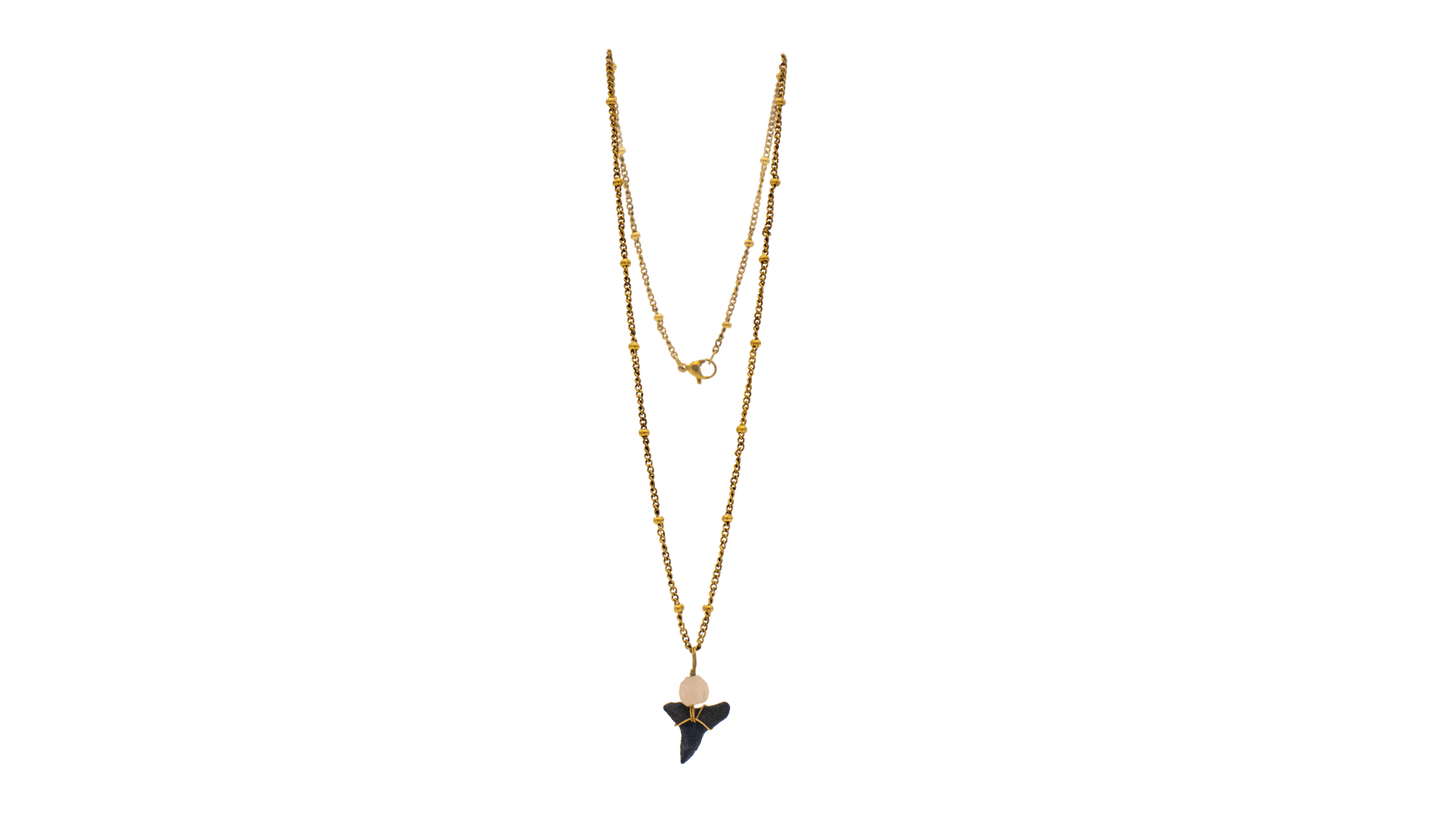 Shark Tooth w/SG Necklace - 14K Gold