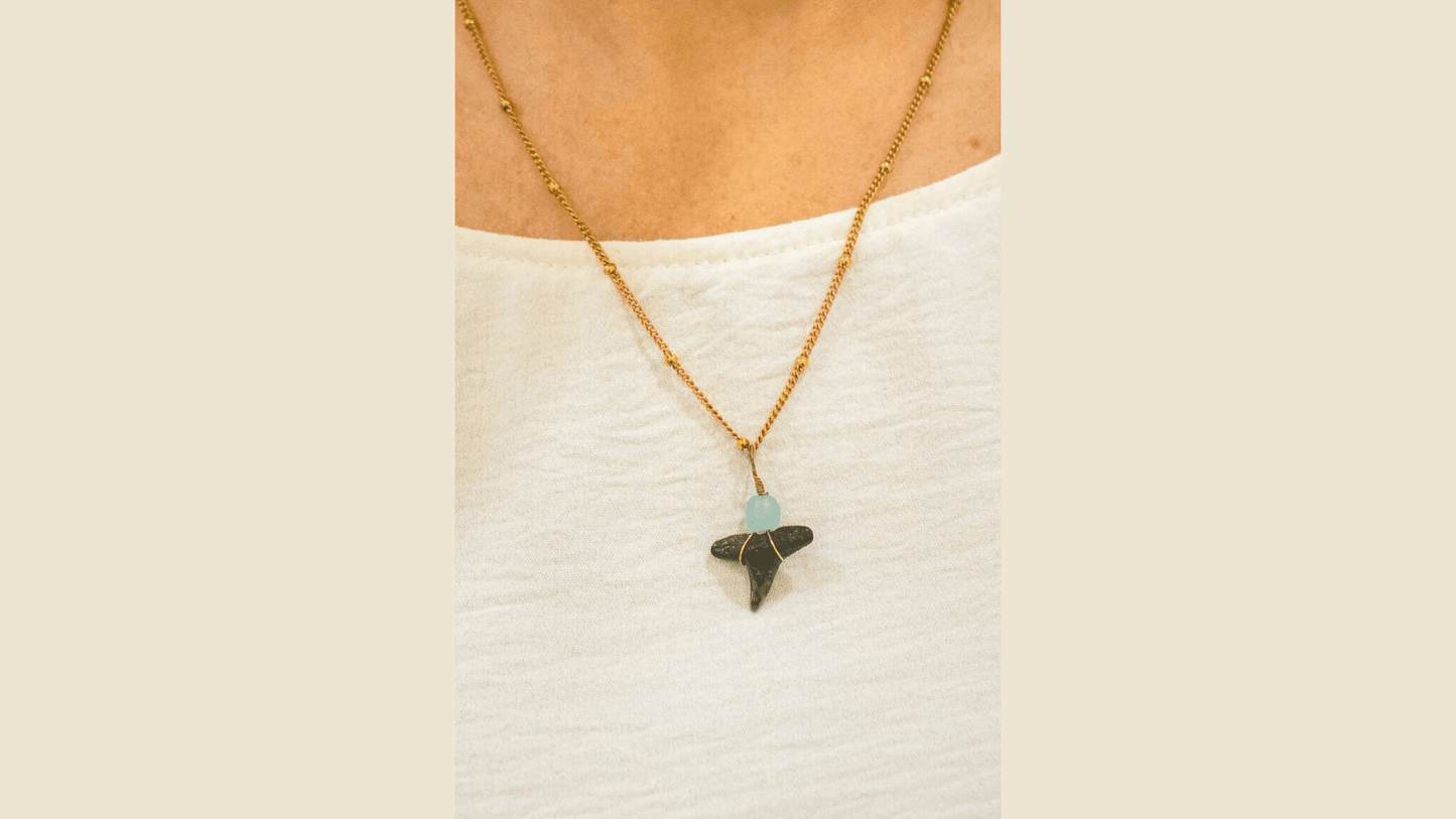 Shark Tooth w/SG Necklace - 14K Gold